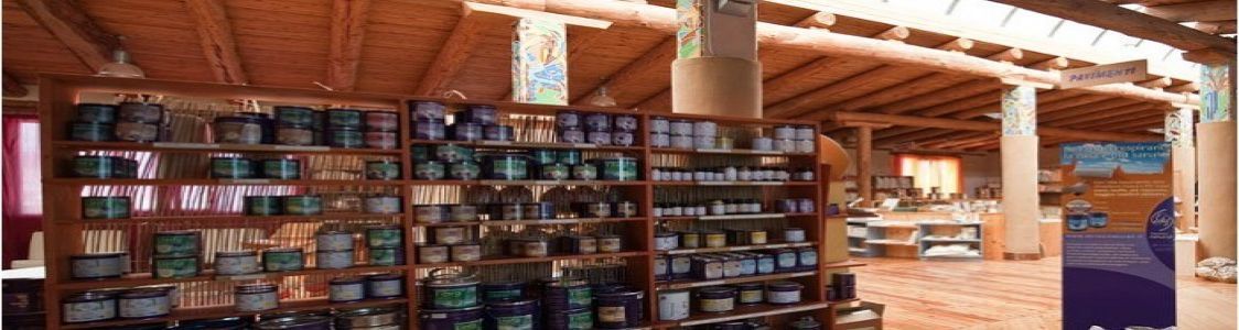 ARTIMESTIERI O.N.L.U.S. cooperativa sociale