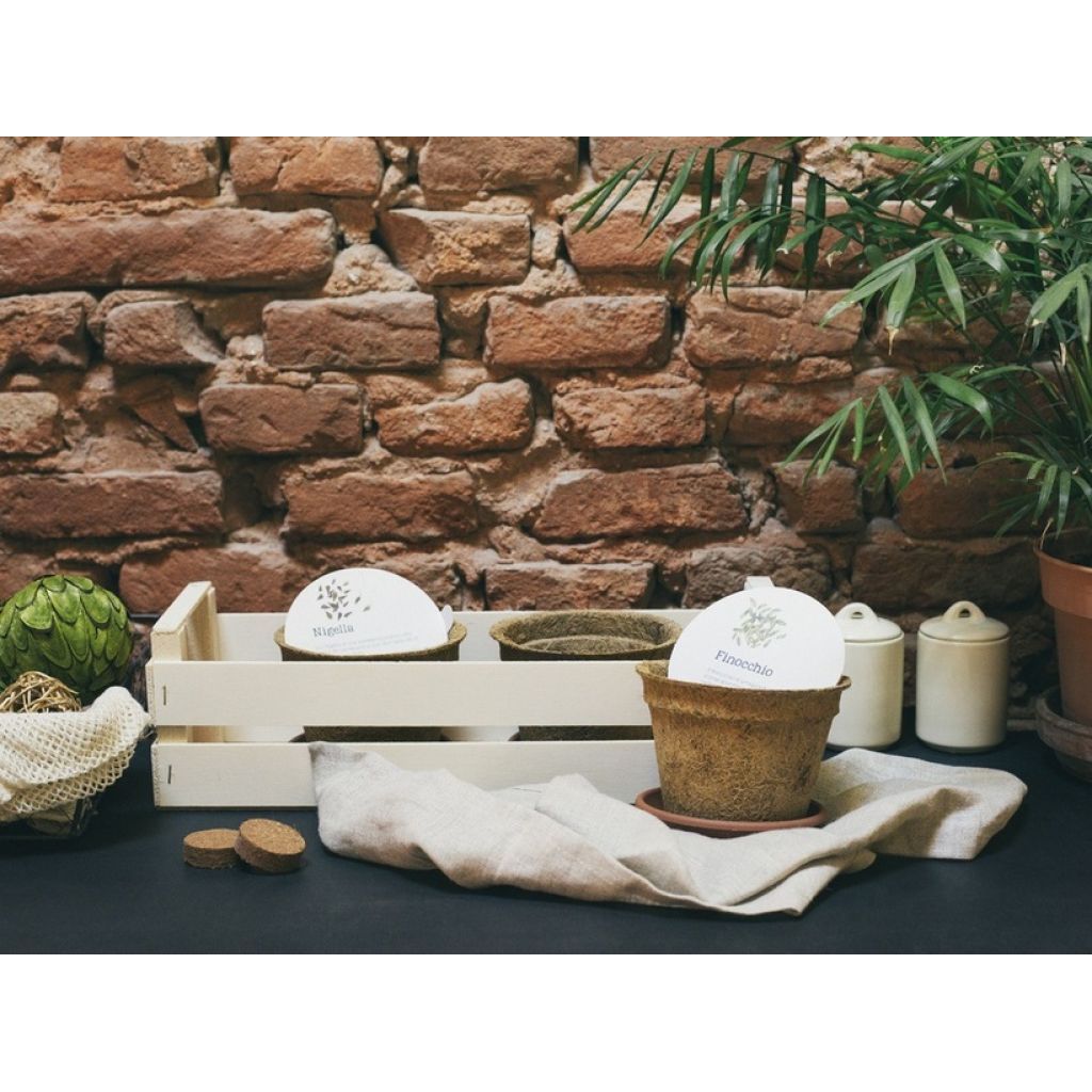 Green Box - L'arca delle farfalle