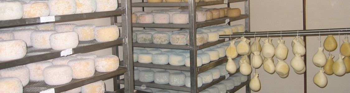 Azienda Agricola Pala Luca