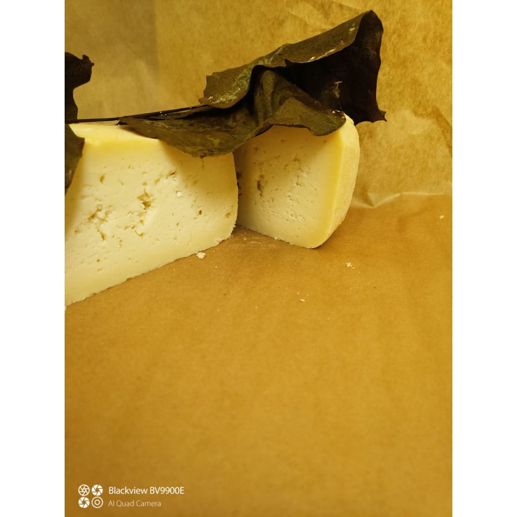 Fomaggio pecorino sotto foglie di noce