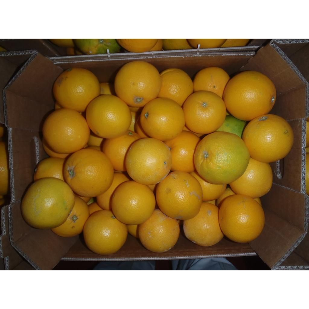 Arance Navel BIO&nbsp;Origine Italia Cat. II Calibro 6/7 cestello da 12 Kg