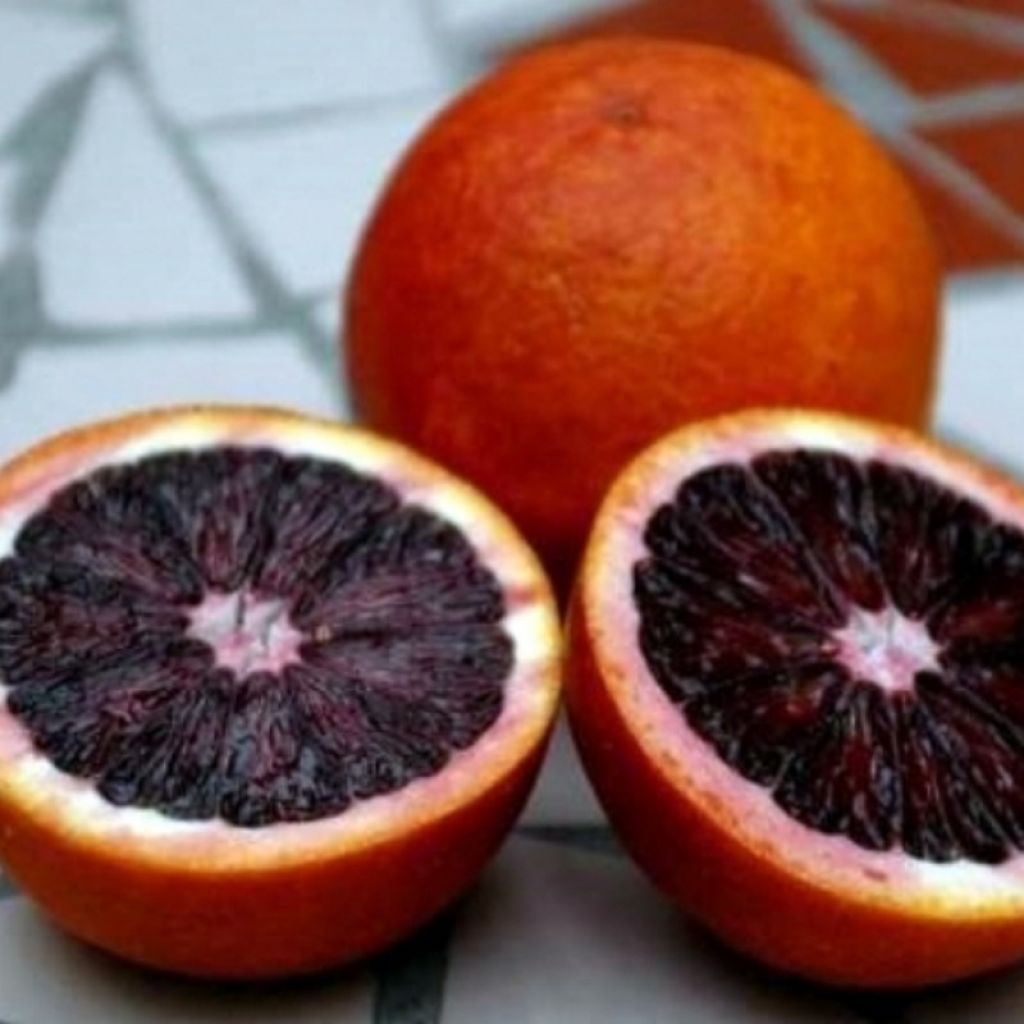 Arance Moro Origine Italia Cat. II Calibro 7/8 - cestello da 12 Kg