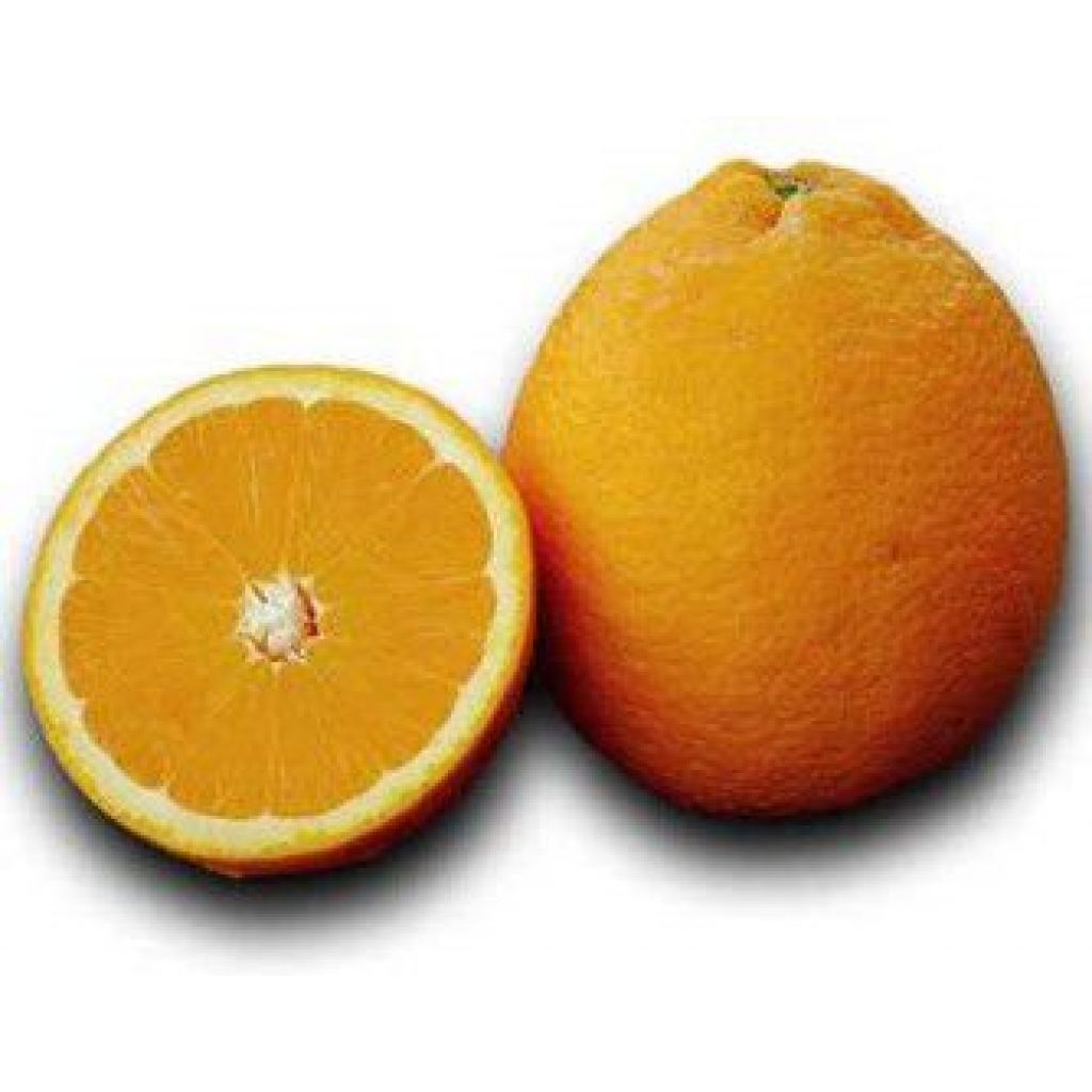 Arance Ovale Origine Italia Cat. II Calibro 7/8 cestello da 12 Kg