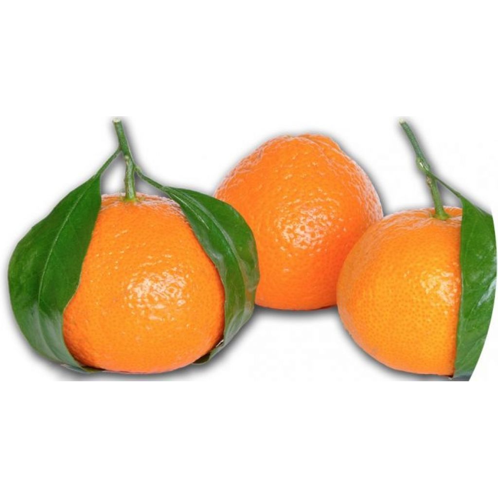 Clementine Winnola Origine Italia Cat. II Calibro 3/4 - cestello da 6 Kg