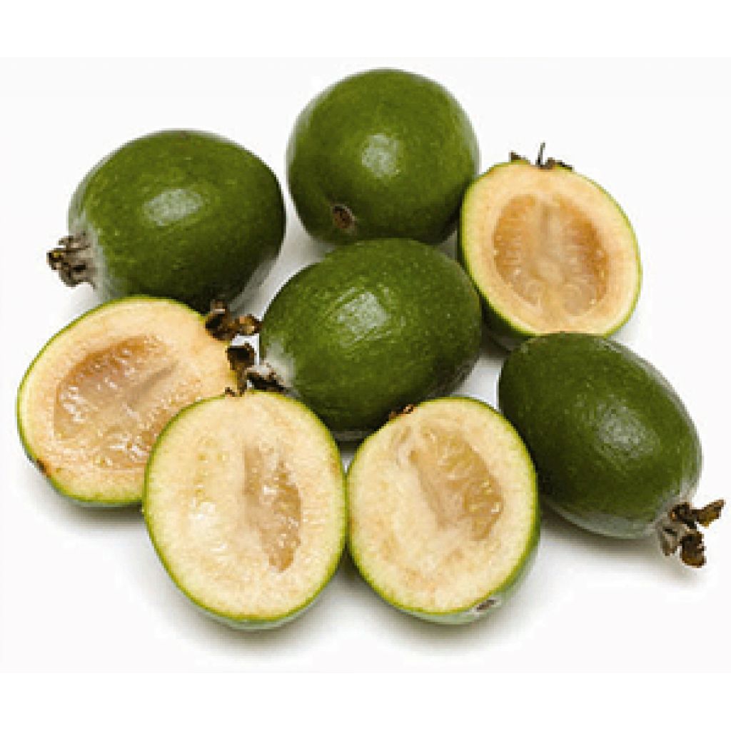 Feijoe Origine Italia - Cestello da 4 Kg