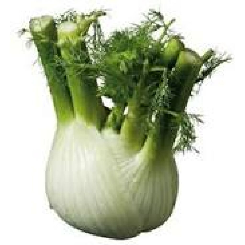 Finocchi BIO Origine Italia - cestello da 6 Kg