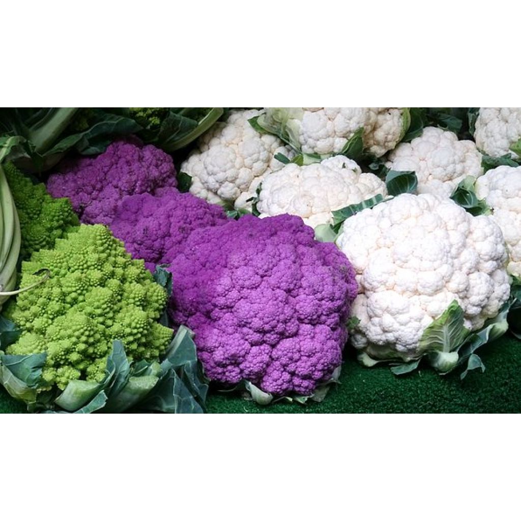 Cavolfiore BIO Origine Italia Cat.II - cestello da 8 Kg