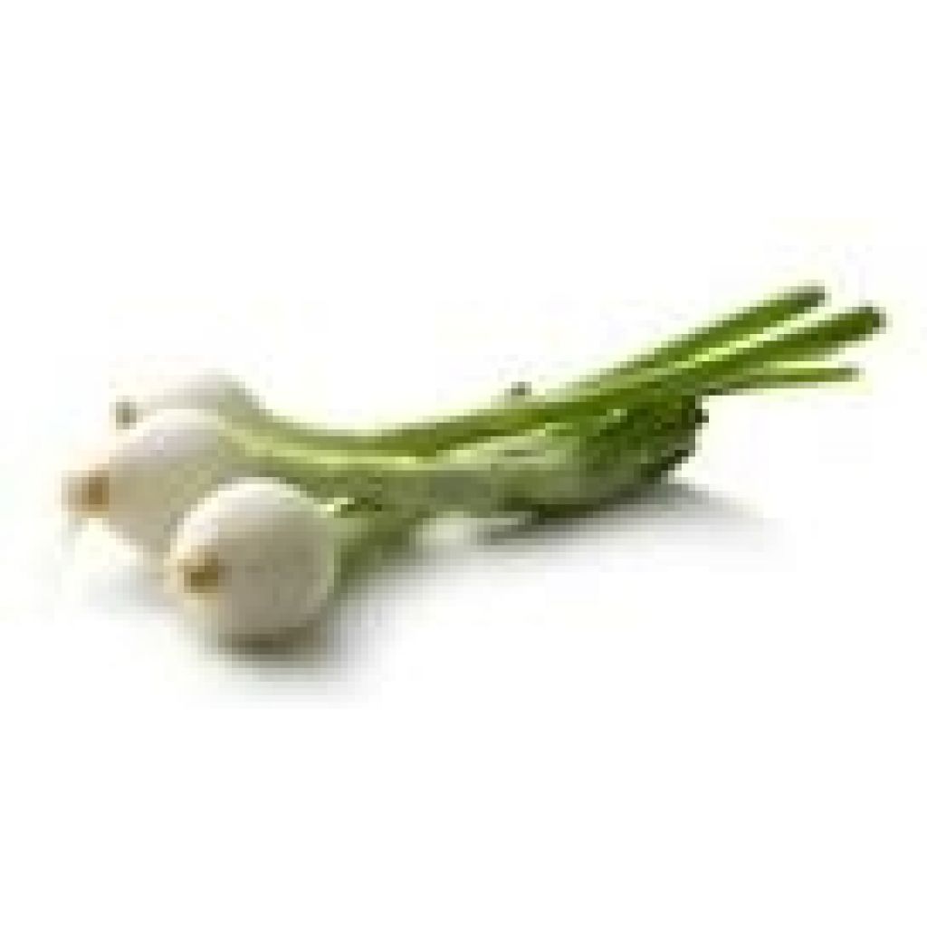 Cipollotti BIO origine Italia - cestello da 5 Kg