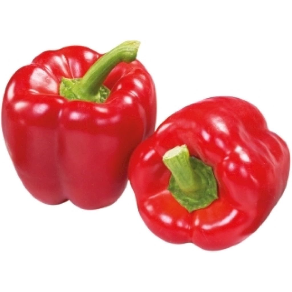 Peperone dolce cornetto rosso o giallo BIO Origine Italia - Categoria II cestello da 5 Kg