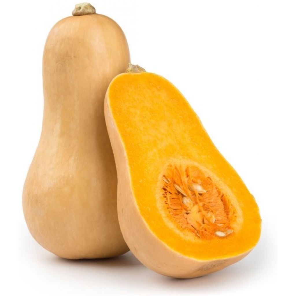 Zucca Butternut BIO Origine Italia -&nbsp; cestello da 4 Kg