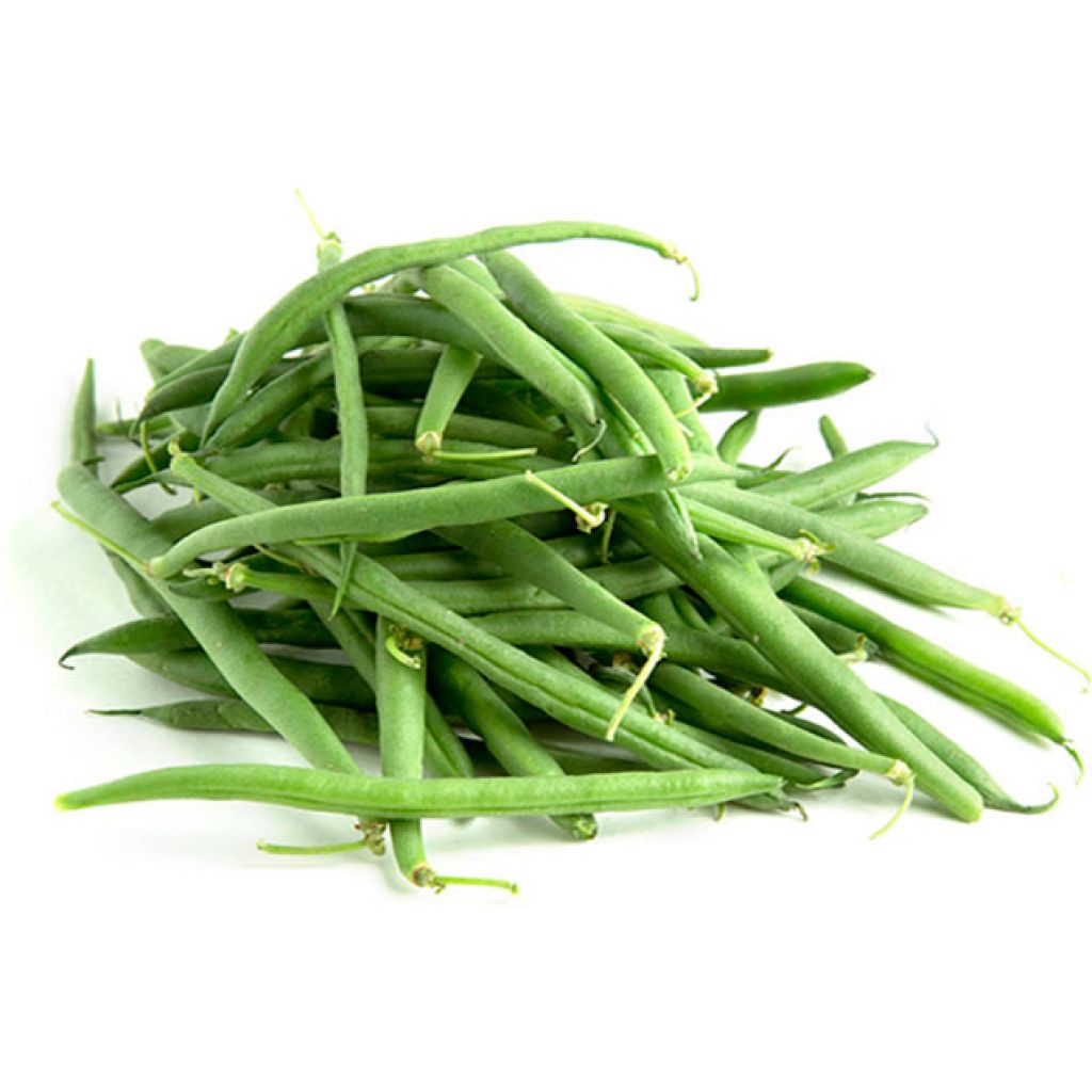 Fagiolino Origine Italia - cestello da 5 Kg