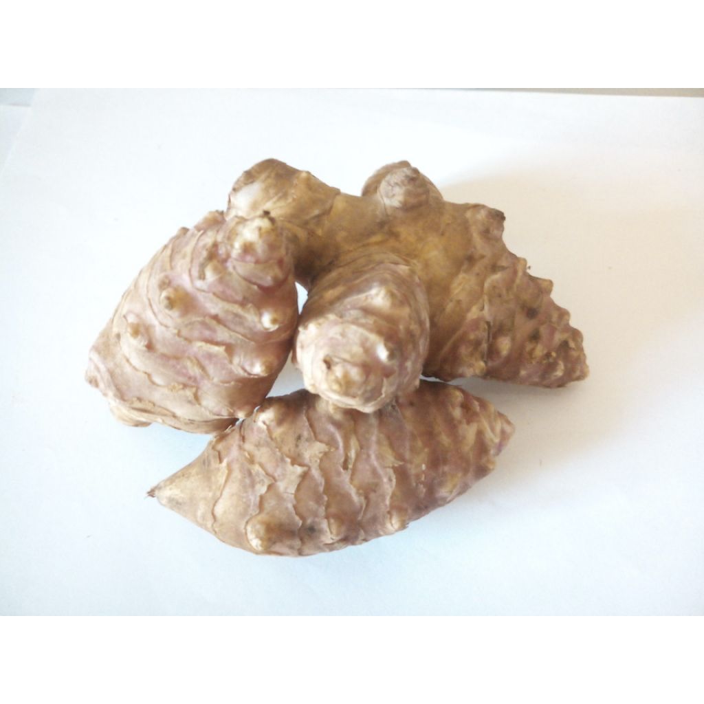 Topinambur Origine Italia - cestello da 3 Kg