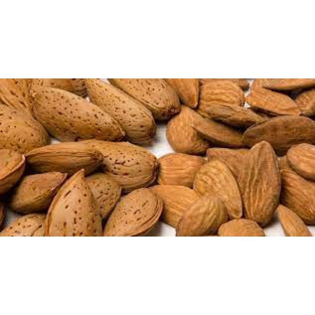 Mandorla Pizzuta in guscio - 5 Kg