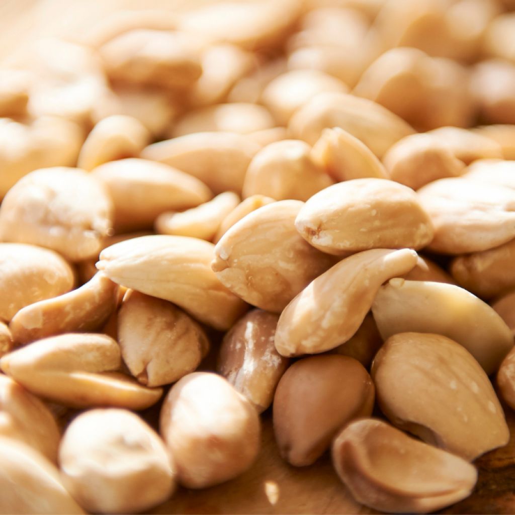 Mandorle di Sicilia tostate - 1 Kg