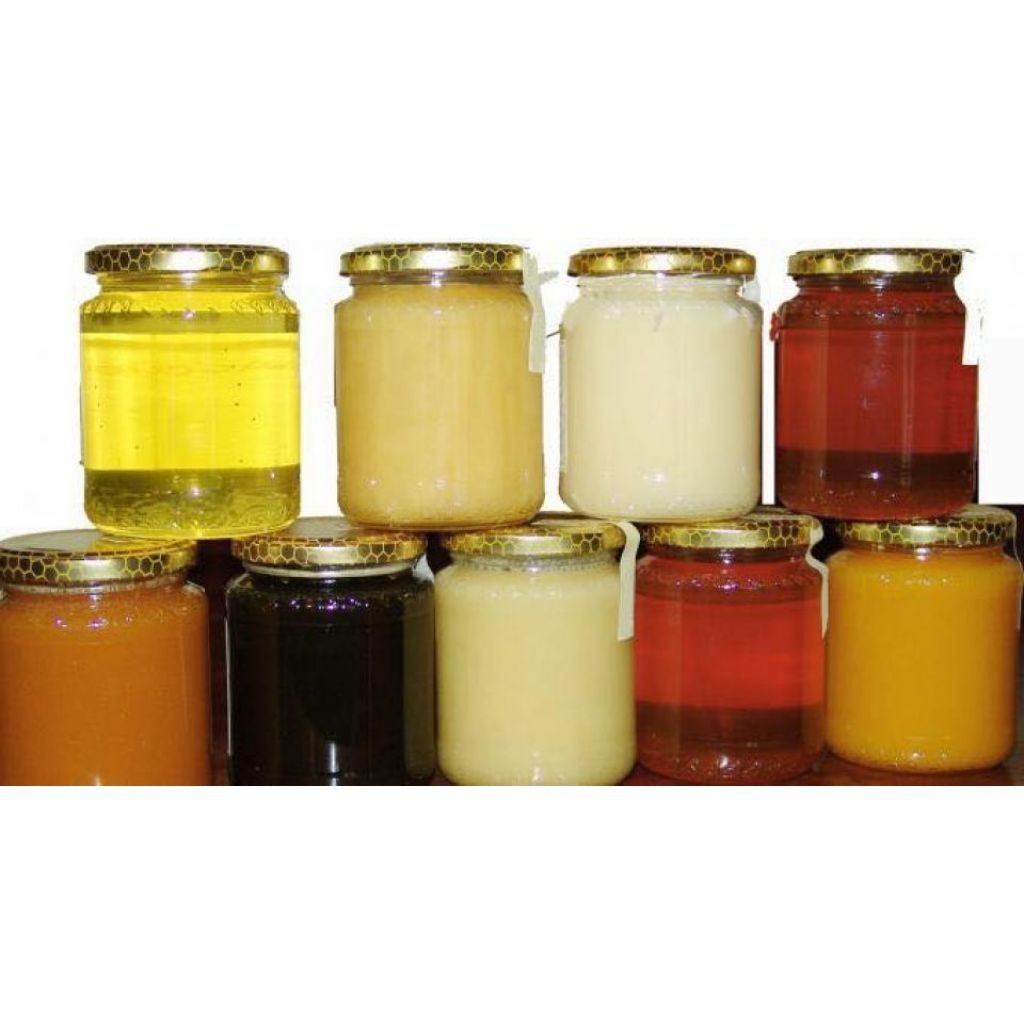 Miele Biologico melata di bosco - 250 g