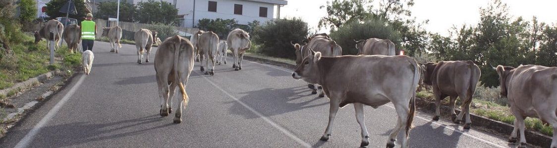 Fattoria didattica La Fonte