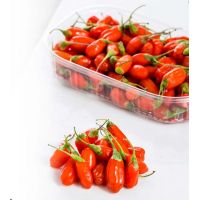 whatsapp image 20200627 at 10.53.20