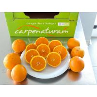 whatsapp image 20200714 at 11.08.49