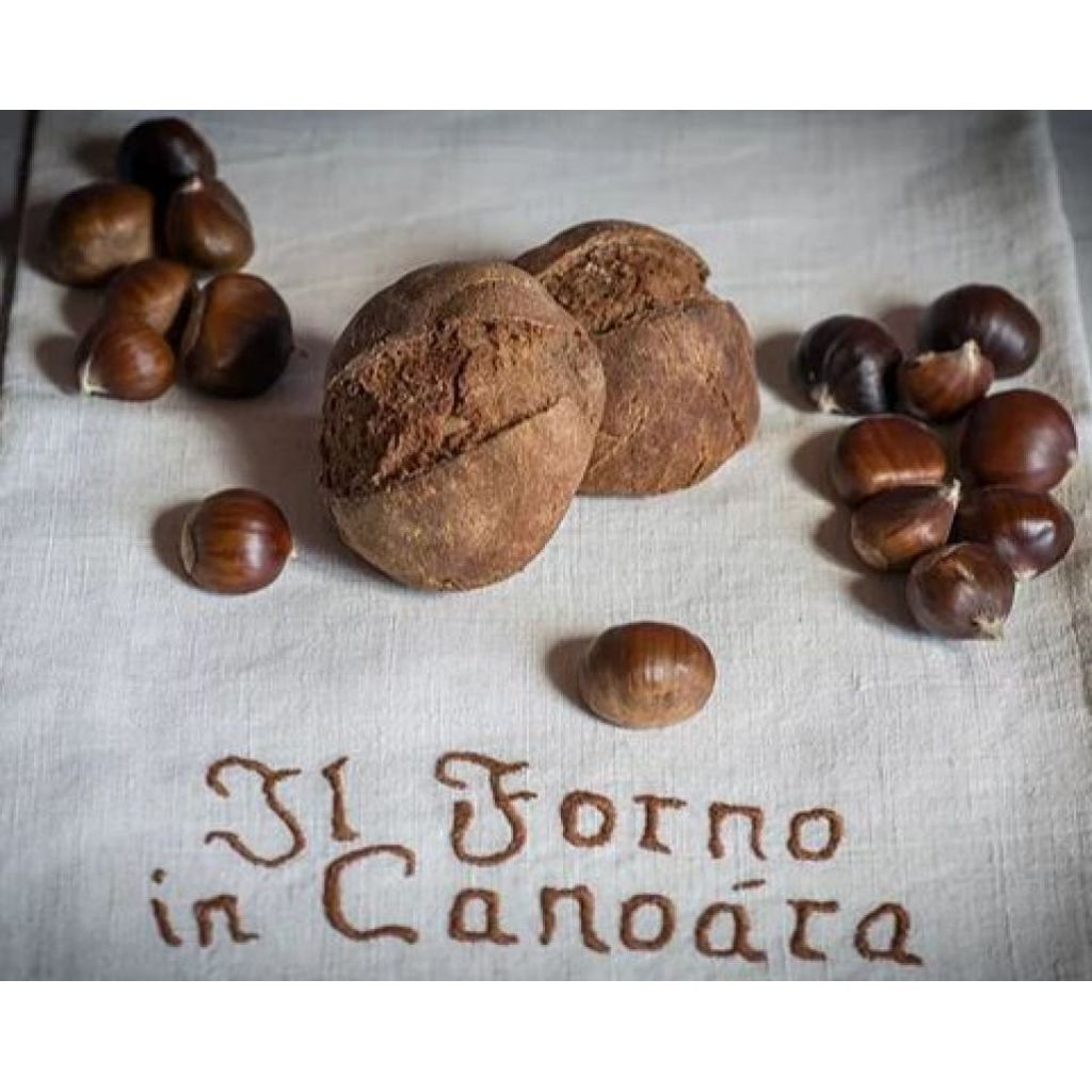 Mini Marocca di Casola