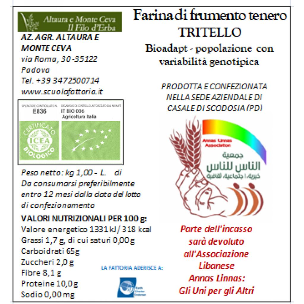FARINA DI FRUMENTO TENERO TIPO TRITELLO da 1 Kg