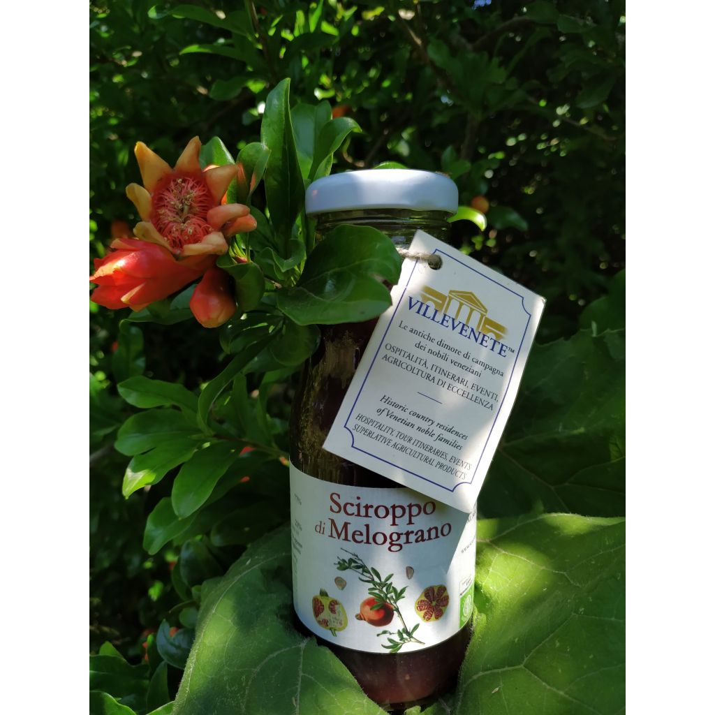 SCIROPPO DI MELOGRANO da gr. 250