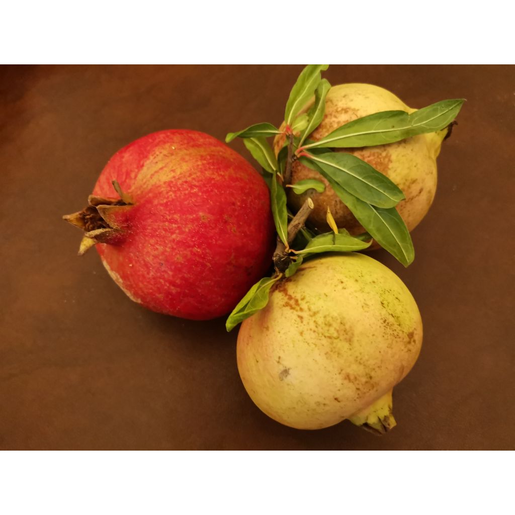 Melagrane rosse e rosate