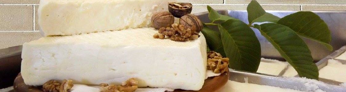 Societ&agrave; agricola Vito Celeste & C s.s.