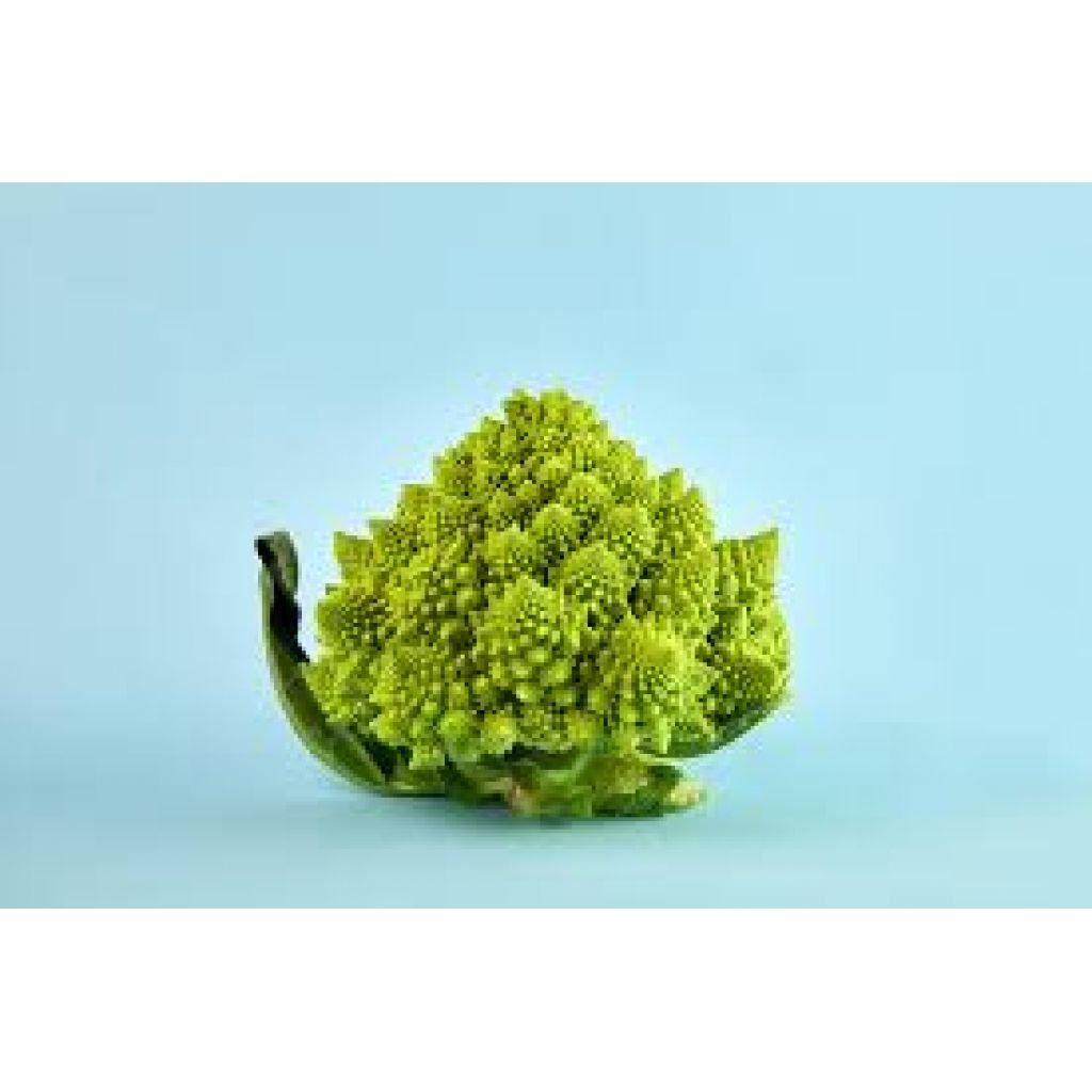 Broccolo romanesco