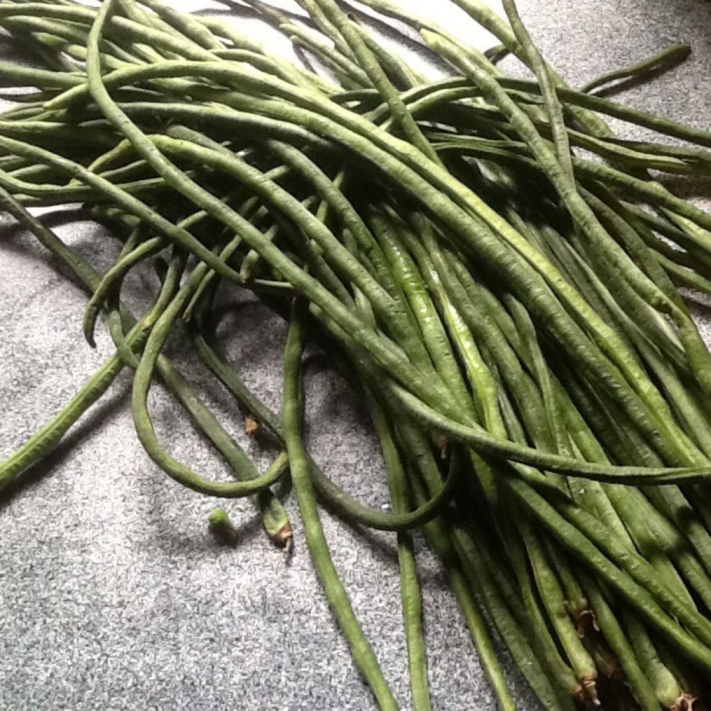 Fagiolini serpenti