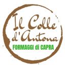 Azienda agricola Il Colle D'Antona