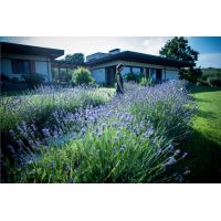 10515145_10204322743456769_4410089281422148786_o