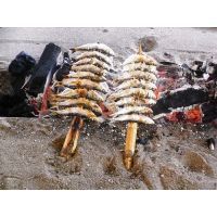 10632835_915630968467899_4776547502321714187_n