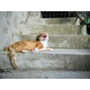 Insieme Sal'Meni Ass. Agriculturale