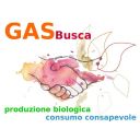 GASBusca