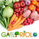 GasPriolo