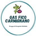 GaS Fico Carmignano
