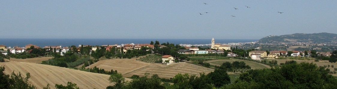 GAS-PACHO - pdr Misano