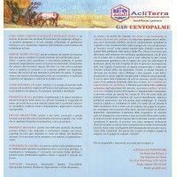 brochure_centopalme_interno