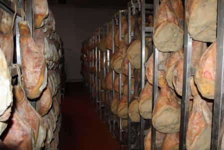 Nourelhouda Yahyaoui