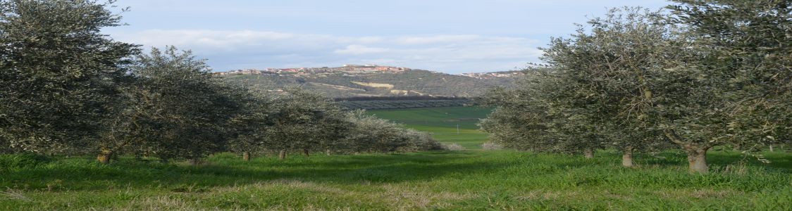 Az. Agricola De Cillis