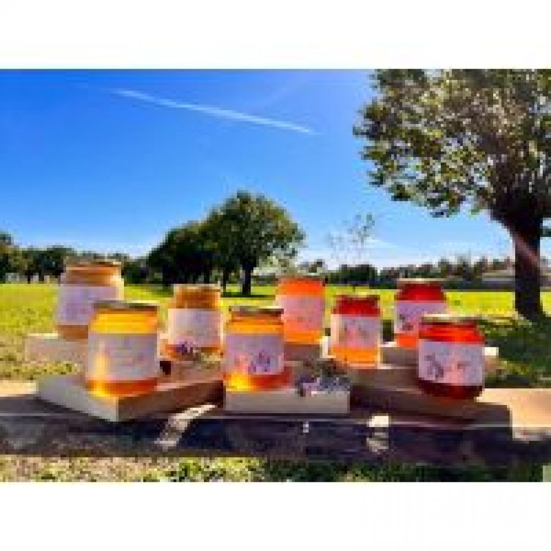 Cristian Nardon Apicoltura