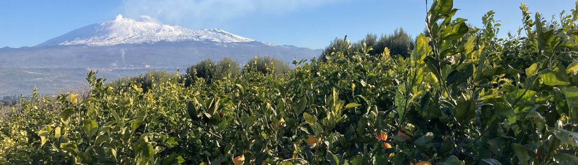 Il Siculo Dell'etna