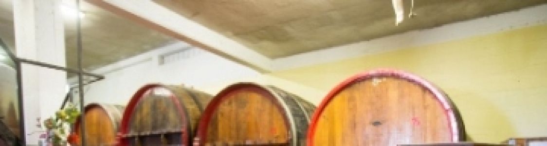 Michele Francesco Pavia